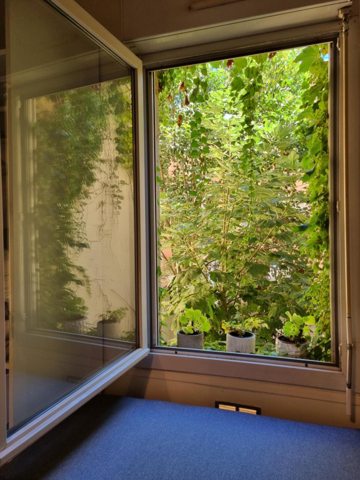 Apartamento La Maison De Maila Toulouse