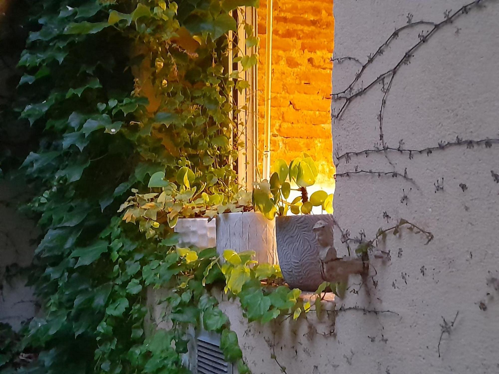 Apartamento La Maison De Maila Toulouse
